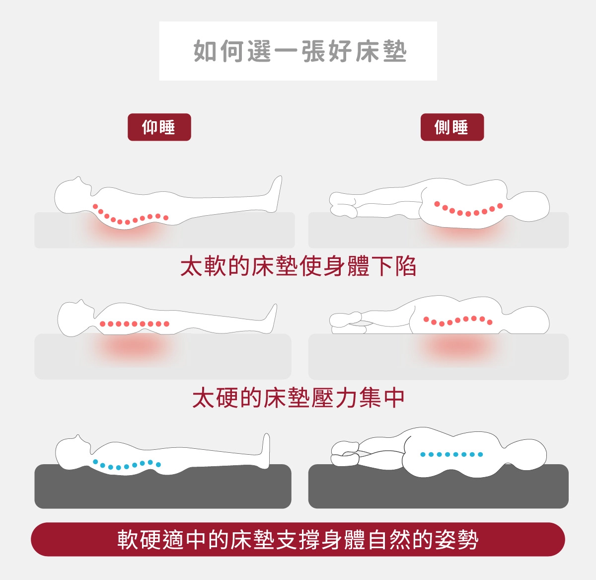 我們是幸福床店床墊結構圖-涼感布親水棉獨立筒高密度泡棉