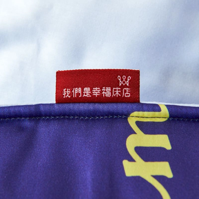 【雙11限定兩件入】麻吉貓聯名兩用被(藍色) -四季被-幸福床店限定